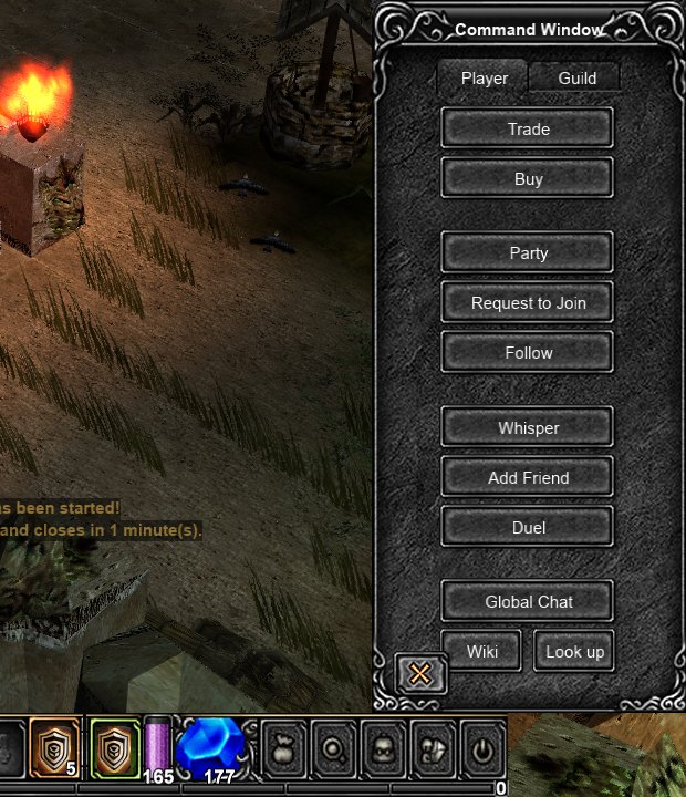 The Command Window with its Player and Guild tabs