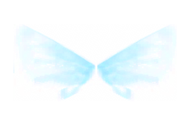 Wings of Elf