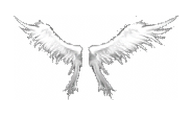 Wings of Heaven