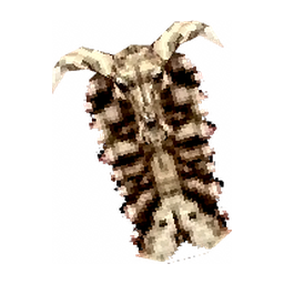 Skull Shield