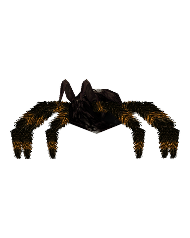 Spider